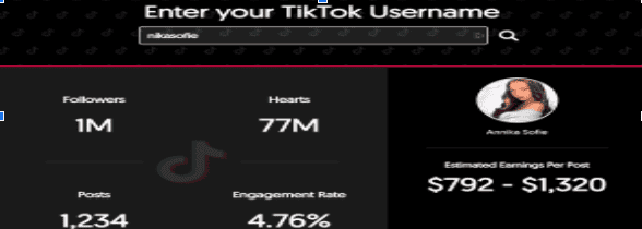 ways to earn money on TikTok