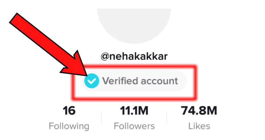 Check out these 7 methods on how do you get verified on TikTok