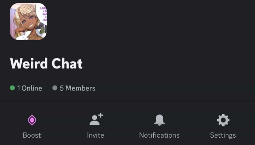 Is there a Service for more discord server members?